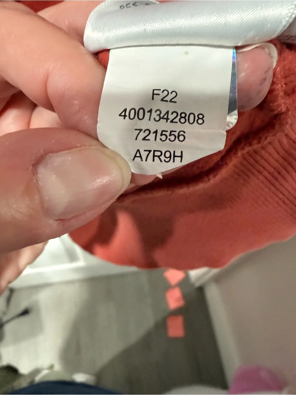 The North Face Men's Coral Hoodie with White Logo